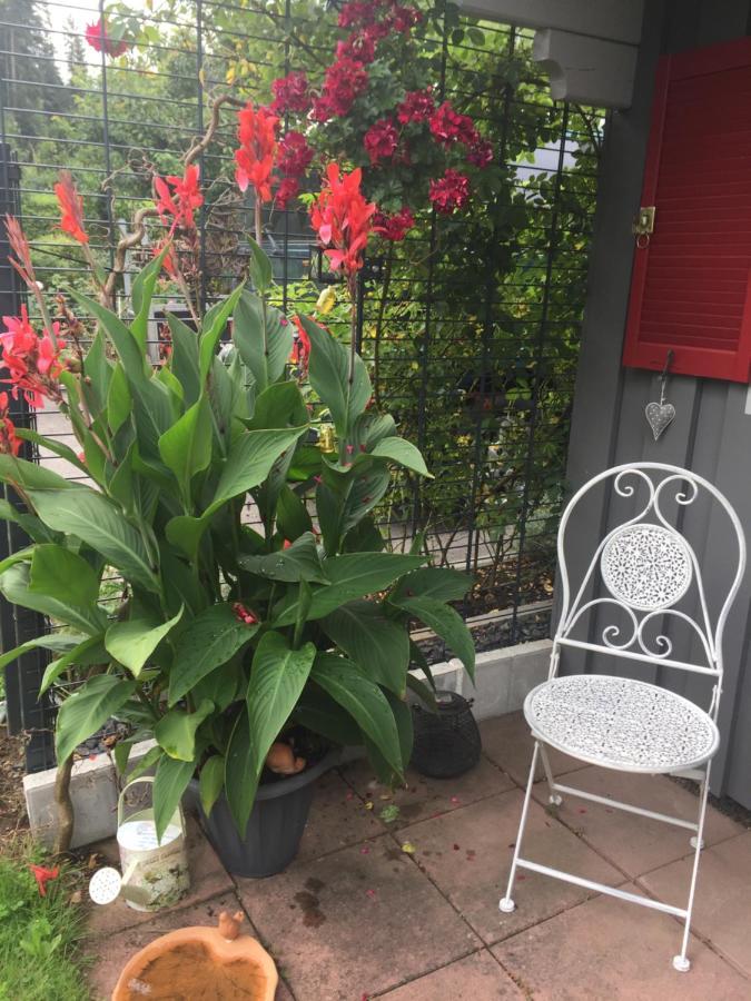 Ferienwohnung Pusteblume Alpirsbach Dış mekan fotoğraf