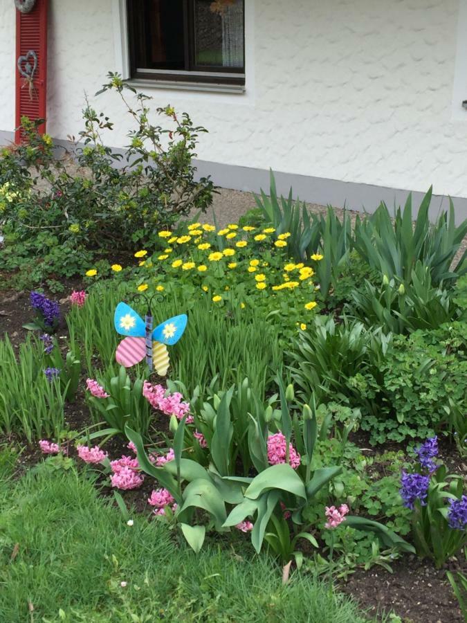 Ferienwohnung Pusteblume Alpirsbach Dış mekan fotoğraf