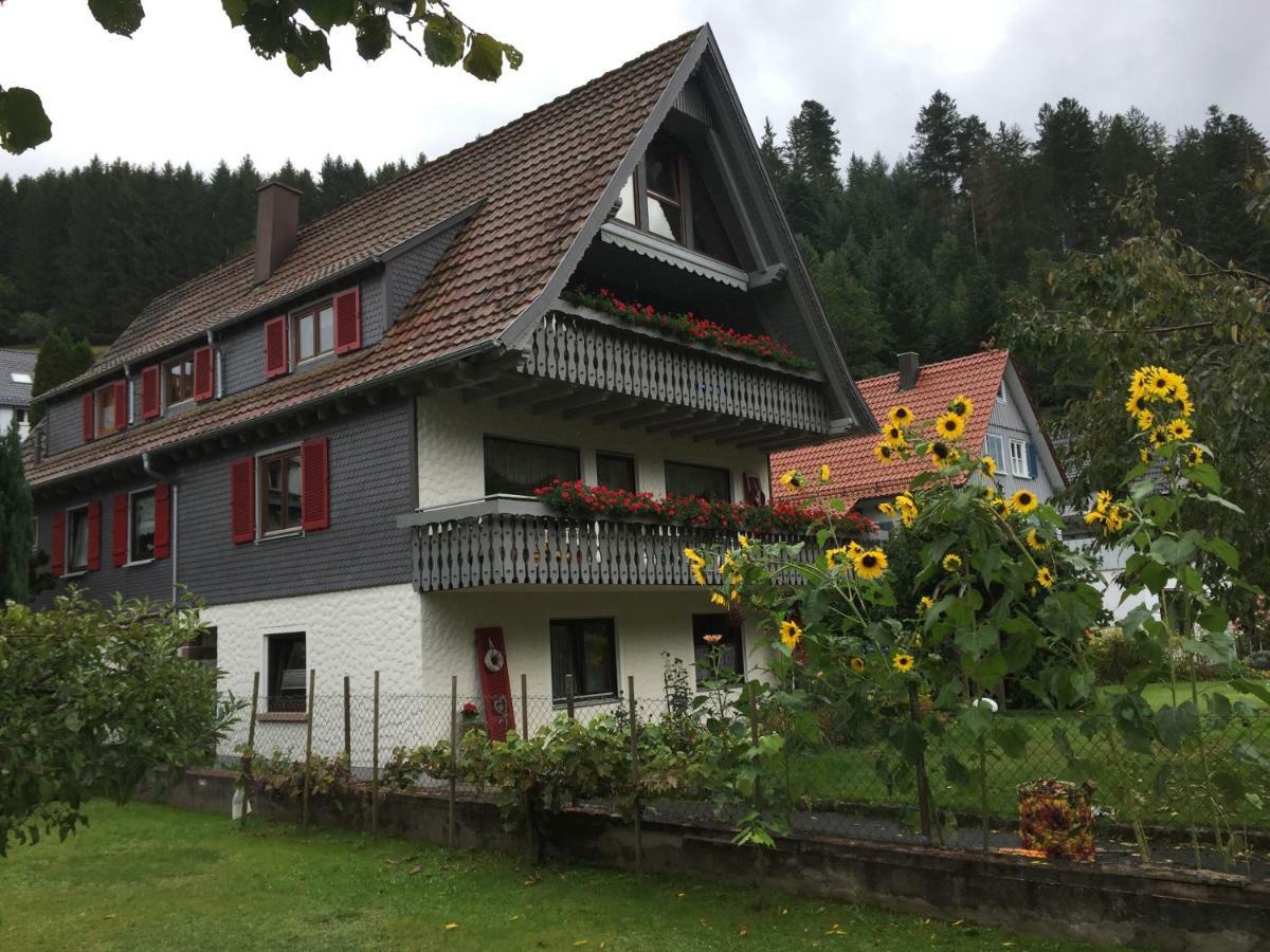 Ferienwohnung Pusteblume Alpirsbach Dış mekan fotoğraf